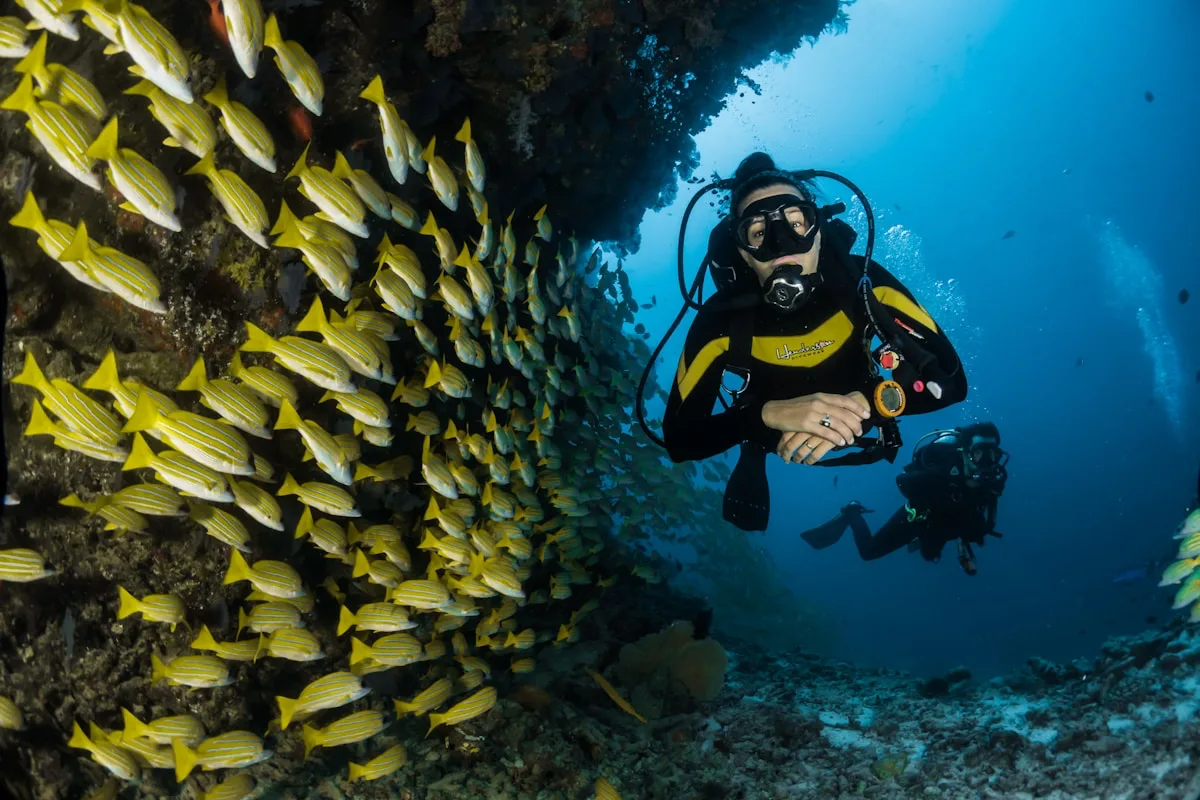 Crystal-clear water, Riviera Maya